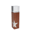 Trofeo Silver Star con estrella de acero inoxidable en base de madera